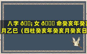 八字 🐡 女 💐 命癸亥年癸亥月乙巳（四柱癸亥年癸亥月癸亥日癸亥时）